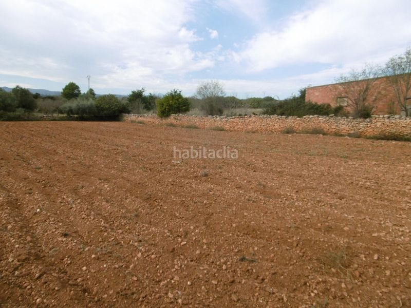 Foto 623a3c42-9583-46d1-bb48-b4e30ea5ffb4. Masia a Useres (les)