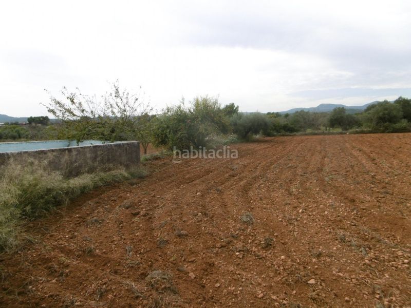 Foto 6e07a010-a6c6-4c99-8544-5697cc28f266. Masia a Useres (les)