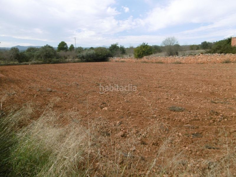 Foto 945880fe-6e22-4b10-8190-89ecca03618f. Masia a Useres (les)