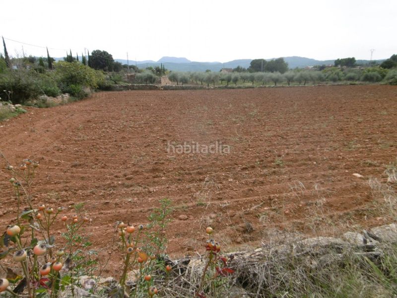 Foto a79e7965-0ff4-4ddf-818f-bb4340db969c. Masia a Useres (les)