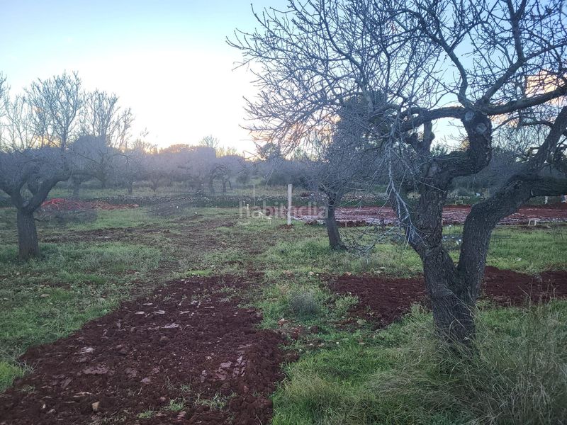 Foto 56024599-f09b-4ae8-a8f1-9e6e0f9eb31b. Xalet a Vall d´Alba