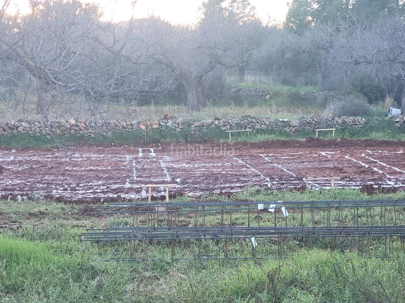 Foto 8e97728f-1082-422a-9253-98ed2c9a6a83. Xalet a Vall d´Alba