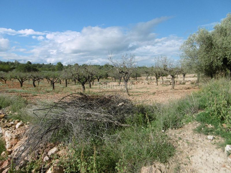 Foto 0458fd5c-5cbb-414d-987a-ac4317f95d57. Masia amb aparcament a Useres (les)