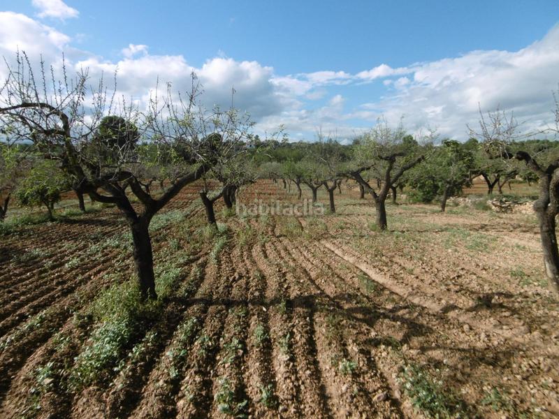 Foto 5ba233f1-bbfb-4715-9cc2-295305bb8403. Mas avec parking dans Useres (les)