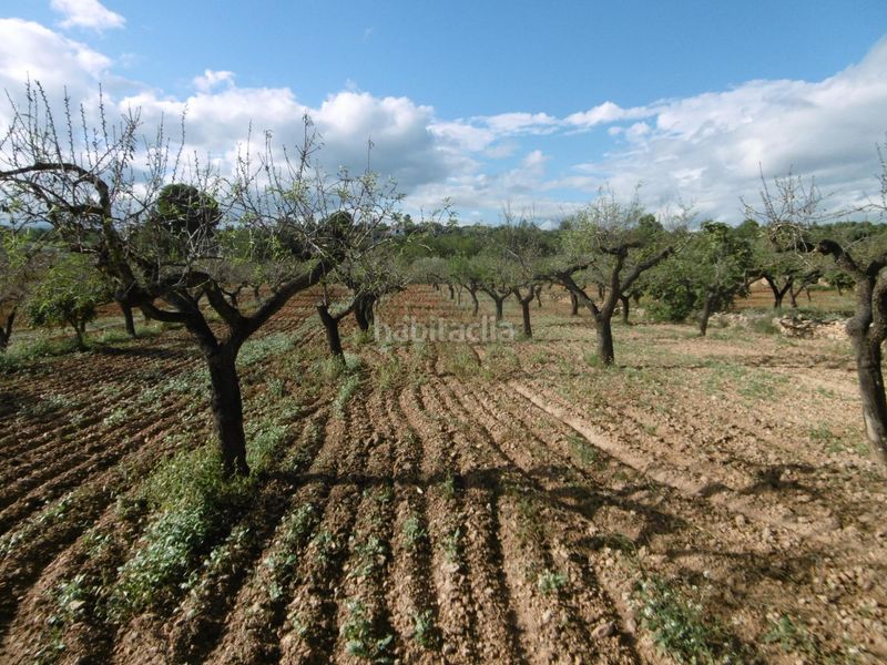 Foto 621049e0-b604-4ff2-a169-e116282f5c87. Masia amb aparcament a Useres (les)