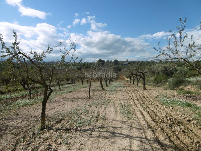 Foto 92516388-8b4b-4109-a23d-c62e620ff01c. Masia amb aparcament a Useres (les)