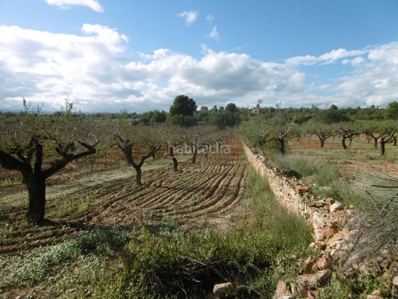 Foto f6291edd-fbd6-4698-ba55-02bd2c23d929. Mas avec parking dans Useres (les)