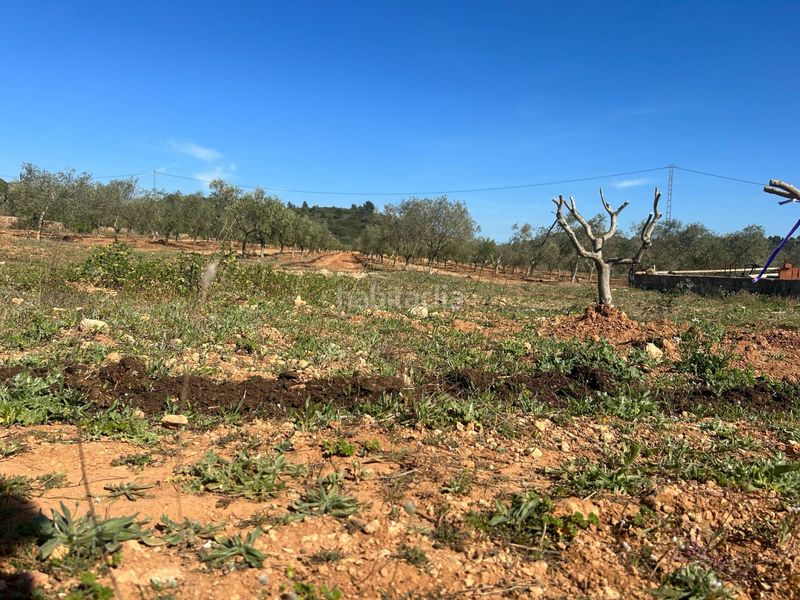 Foto 14aef504-6d3f-443e-9b91-e7a9b61ad326. Finca rústica a Vall d´Alba