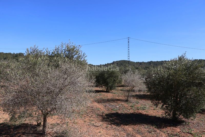Foto 271bff4e-df05-4eb5-b45d-0e57b3c2c4ff. Finca rústica a Vall d´Alba