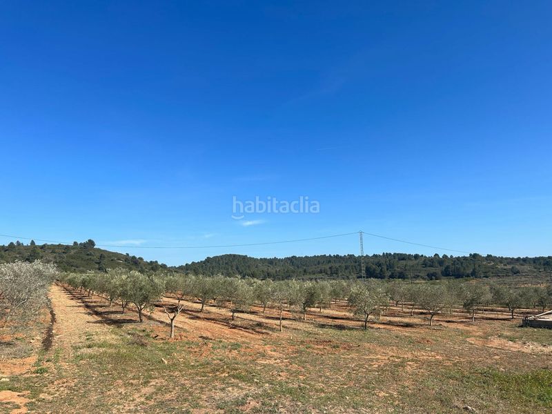Foto 276c56f8-3d86-40c8-8741-5c9a88d4c0a2. Finca rústica a Vall d´Alba