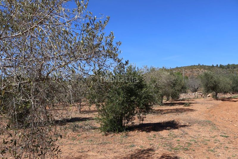 Foto 2996d4f9-3e30-489e-ad71-70f9ef986f63. Finca rústica a Vall d´Alba