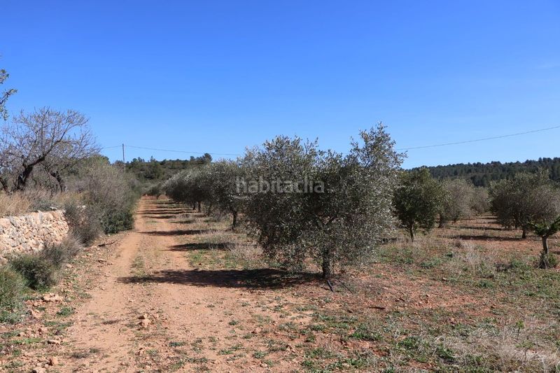 Foto 30560bfc-5d27-4674-87d8-2e23b2430827. Finca rústica a Vall d´Alba