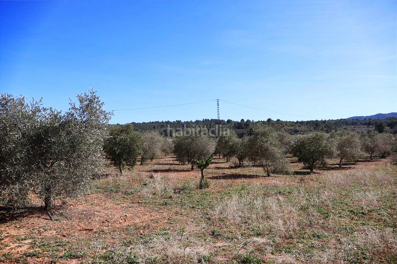 Foto 3cf66fa1-1b35-4e50-91b0-ff102bcf2e70. Finca rústica a Vall d´Alba