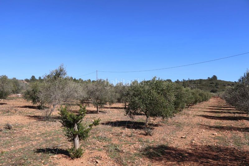 Foto 3f7a70c7-f09b-45ce-934e-575fccfed1f6. Finca rústica a Vall d´Alba