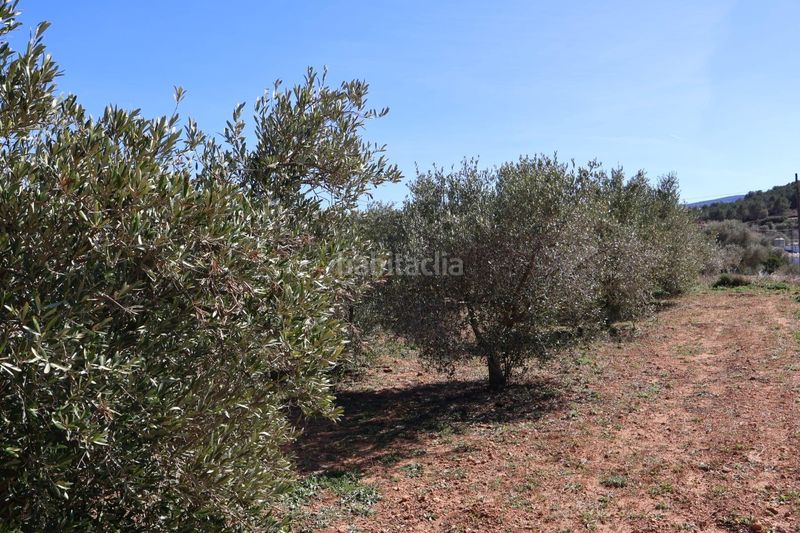 Foto 48fb874f-0df5-4cc0-9220-c4cb092d848b. Finca rústica a Vall d´Alba