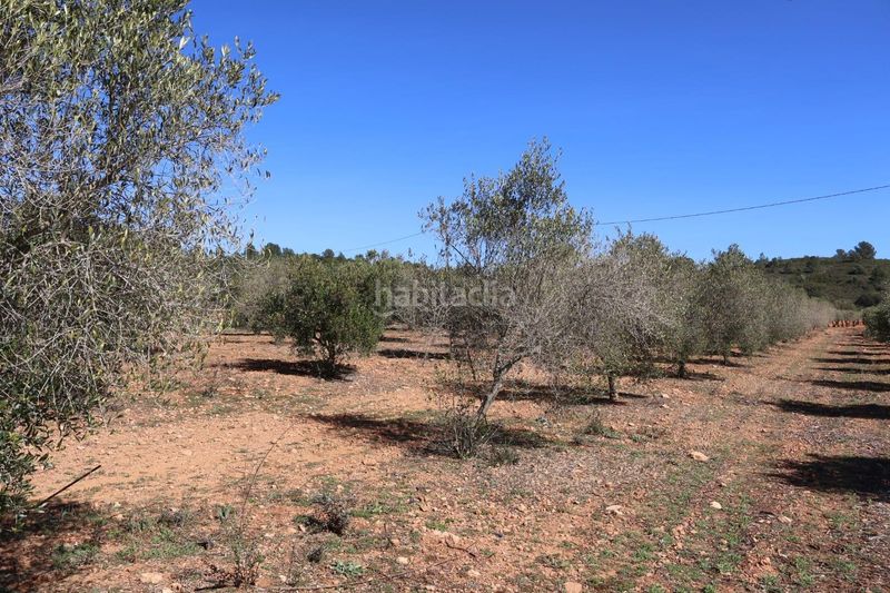 Foto 72b7f7e6-53c2-4ae9-ac90-0f15f5304b13. Finca rústica a Vall d´Alba