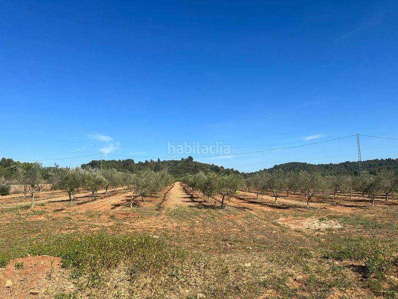 Foto 80b573d8-c285-42a4-9bef-d506328bff3b. Finca rústica a Vall d´Alba
