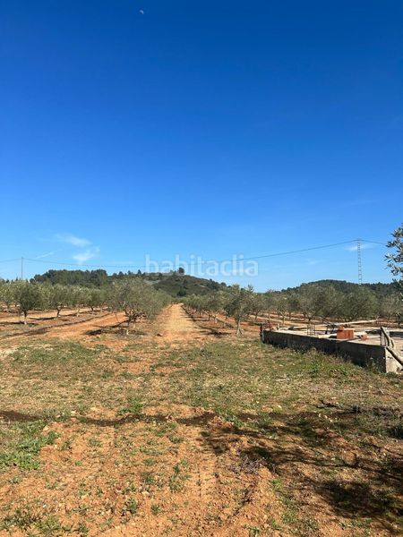Foto 8d893f41-f5a4-4fd6-b79f-df3d147f9a80. Finca rústica a Vall d´Alba