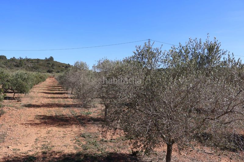 Foto a07fed3d-0163-4b3f-81e7-d75843bab871. Finca rústica a Vall d´Alba