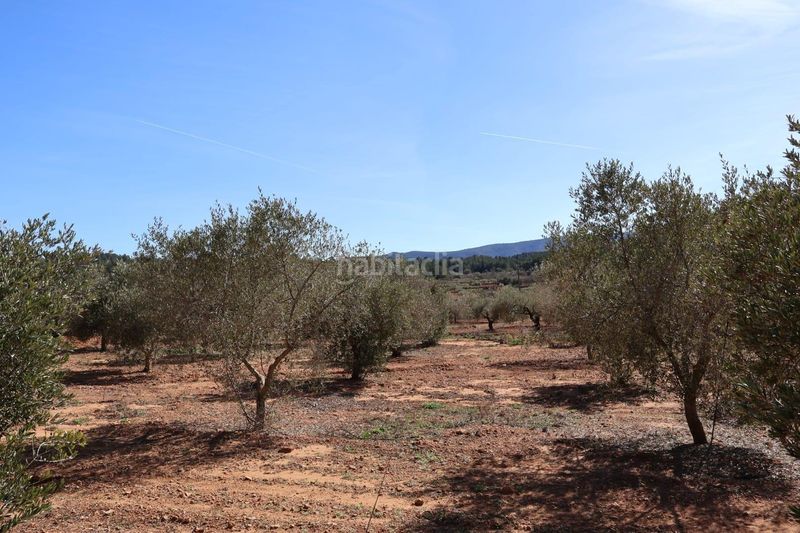 Foto a7fc69db-9714-47a6-b1ca-3bf3bb8fe288. Finca rústica a Vall d´Alba
