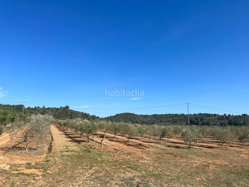 Foto ae207bdd-8ee7-44bf-a16e-1a93fbd20e33. Finca rústica a Vall d´Alba