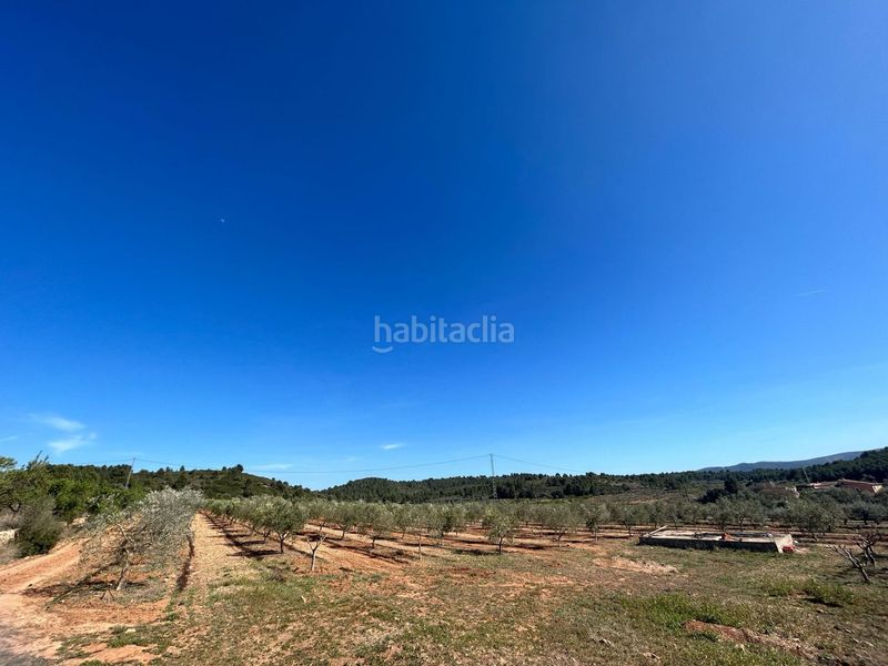 Foto ce5a60a2-77ff-4956-9d90-e5e565f4c83c. Finca rústica a Vall d´Alba