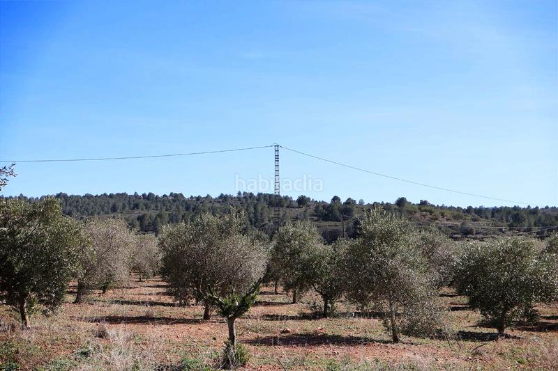 Foto c4aa1c22-bda2-4907-9c2e-faf7e2809f61. Fondo rustico in Vall d´Alba