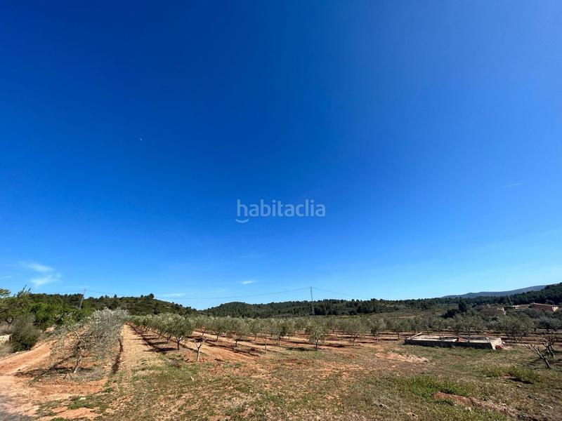 Foto ce5a60a2-77ff-4956-9d90-e5e565f4c83c. Fondo rustico in Vall d´Alba