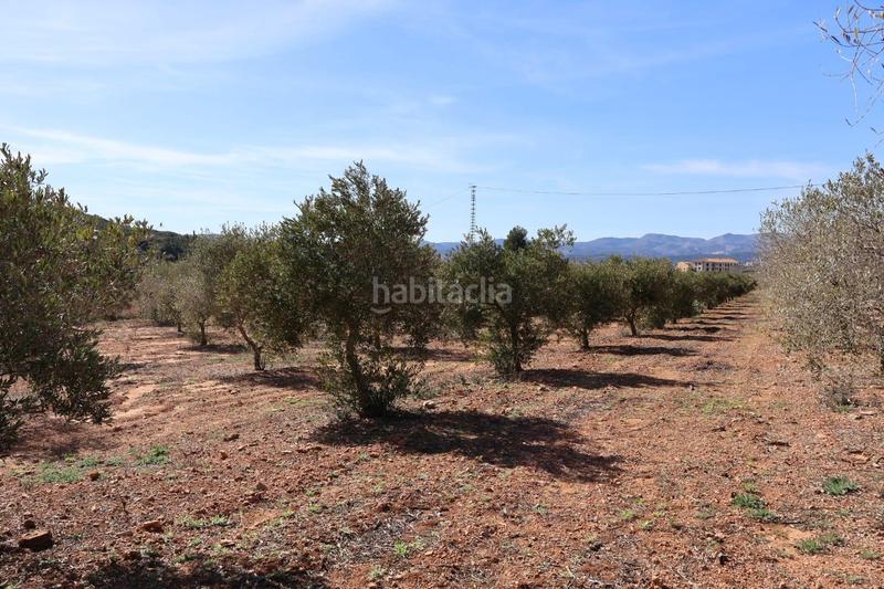 Foto f175f3d9-82ec-49f2-a029-805b163cdbfa. Fondo rustico in Vall d´Alba