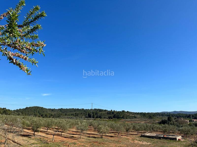 Foto fbea9299-fafd-48fe-80ef-84b1ca937e25. Fondo rustico in Vall d´Alba