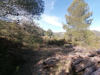 Propriété  Camino de raca. Finca rustica en borriol