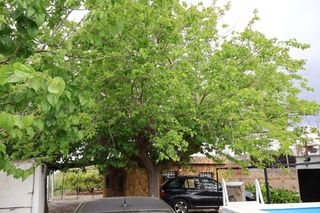 Casa  Camino de ull de la comare. Casa de campo con piscina, pozo propio y terreno de huerta