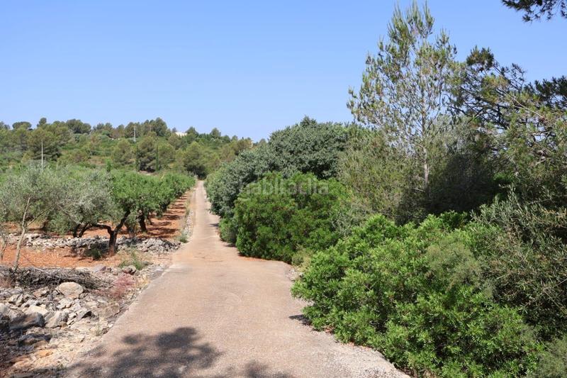 Foto 3be52b03-a773-4126-870d-a038605215a6. Masia a Vall d´Alba