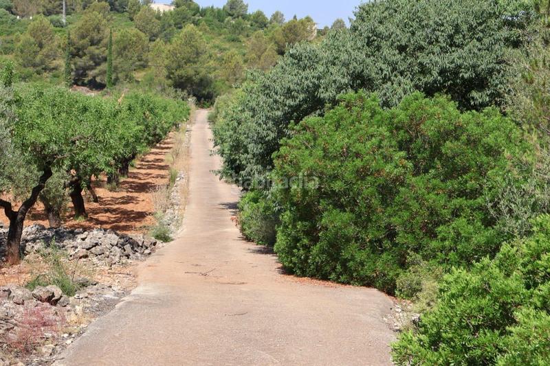Foto be8e52cd-1e19-4cef-89a7-1b15eb796da3. Masia a Vall d´Alba
