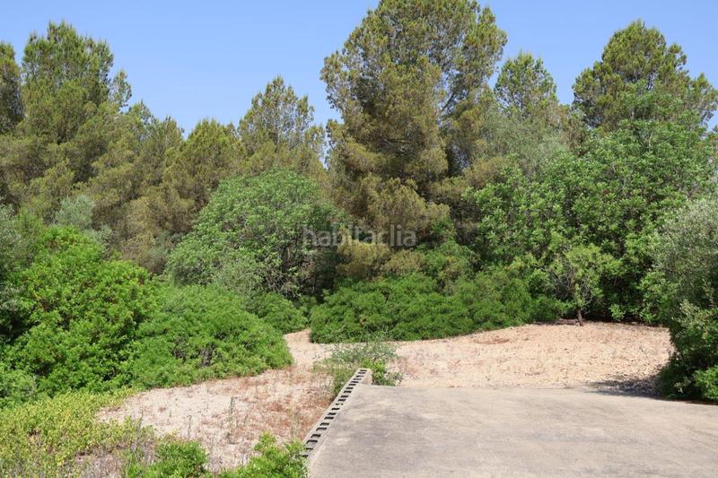 Foto e8ad7a18-9ad4-4ce7-9680-77e8333f287f. Masia a Vall d´Alba