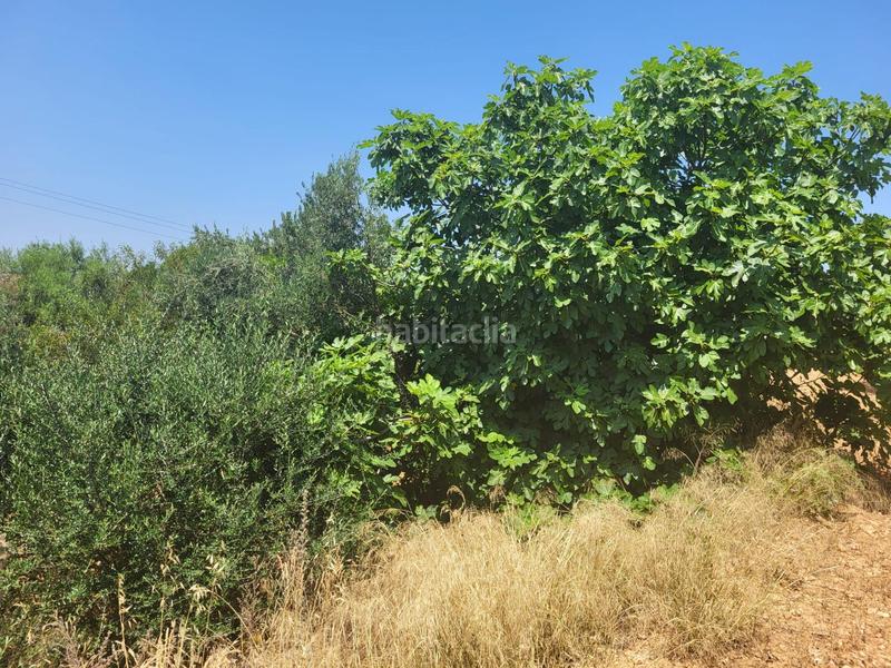 Foto 19a7db27-bcc4-4d91-b828-c09c6f310e0e. Bauernhof in Vall d´Alba