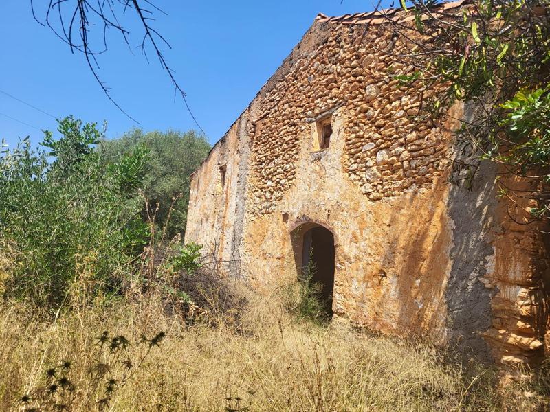 Foto 243463af-550a-4456-95c2-8b24708d55ec. Bauernhof in Vall d´Alba