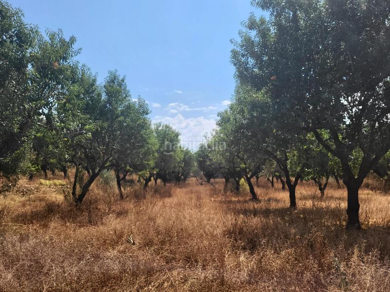 Foto 553fa2e0-59e9-4dcb-9cee-5d201789555a. Bauernhof in Vall d´Alba