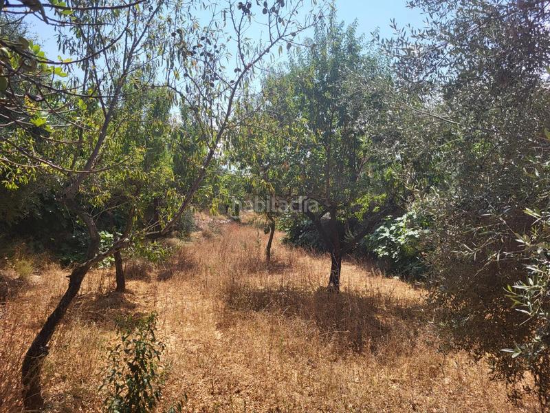 Foto 75c53a0d-c1ca-4dc0-8b50-2a25475b6572. Bauernhof in Vall d´Alba