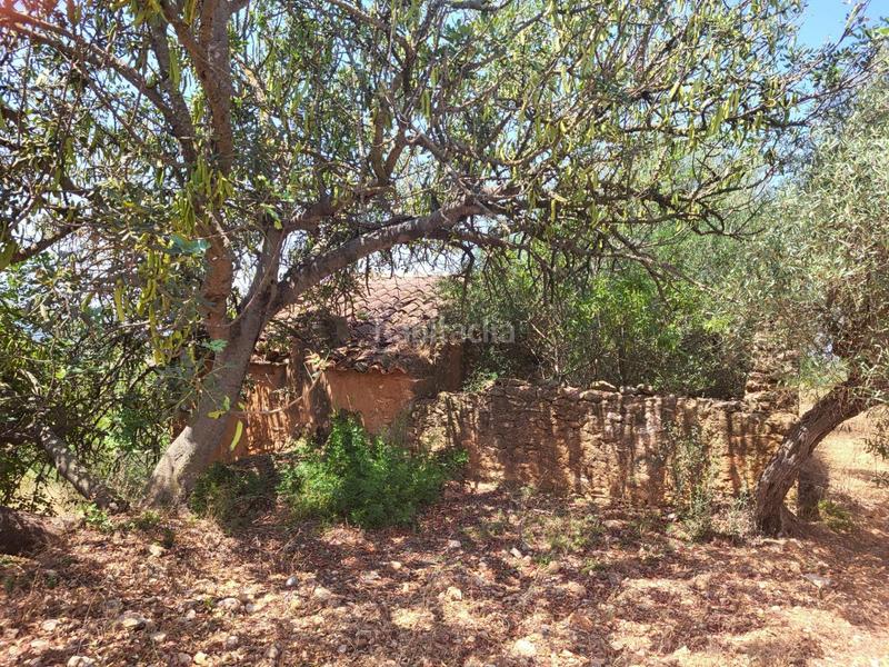 Foto 763237aa-2389-494a-b2dd-c661b67e22ad. Bauernhof in Vall d´Alba