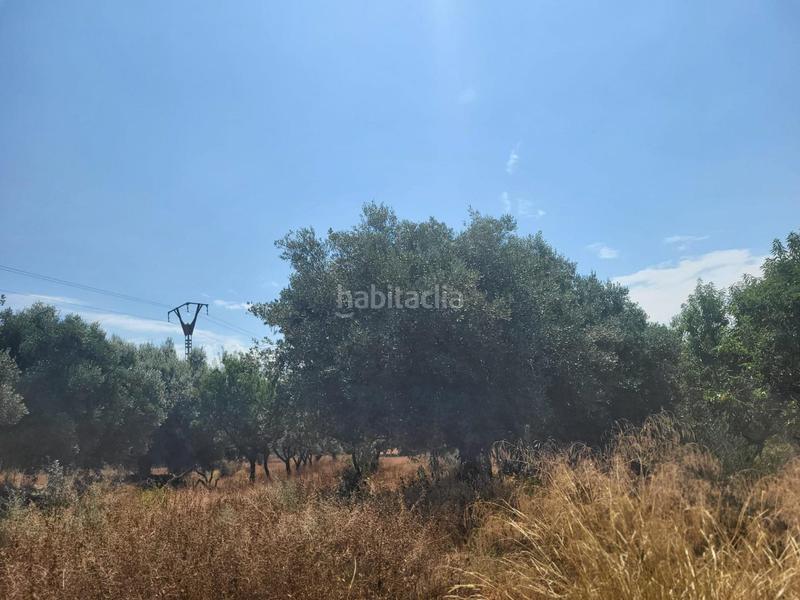 Foto d38f7d76-1e2b-40c2-9b1a-8a6c73e5c783. Bauernhof in Vall d´Alba