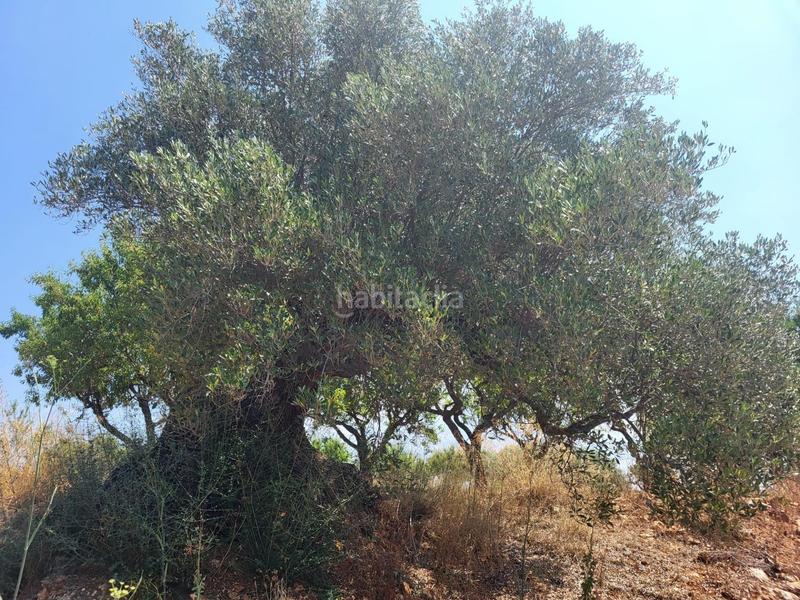 Foto eaeef5da-252d-44c9-920e-f9c75d2d8dd9. Bauernhof in Vall d´Alba