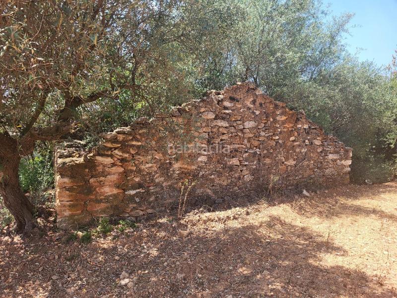 Foto eeb8dff0-a905-4169-a4e5-7a400091fddc. Bauernhof in Vall d´Alba