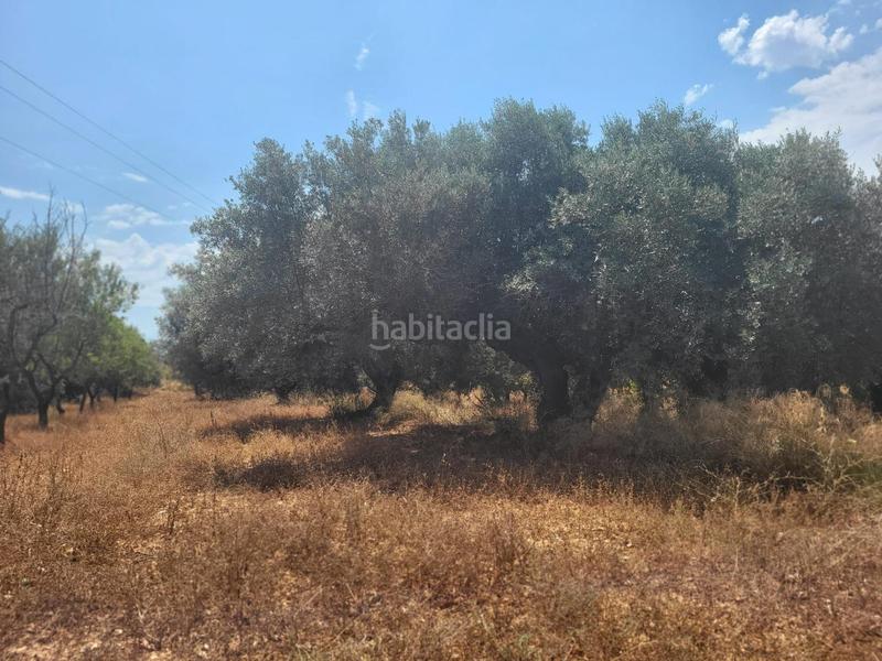 Foto f45464d0-0314-458e-945c-bf4e29a83864. Bauernhof in Vall d´Alba