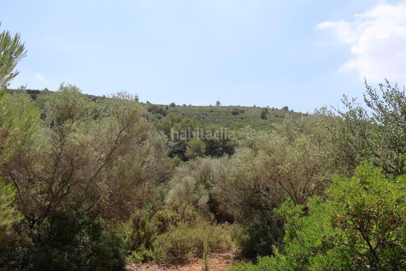 Foto 0906c2d9-1d45-48d0-9e39-325909e13774. Bauernhof in Vall d´Alba