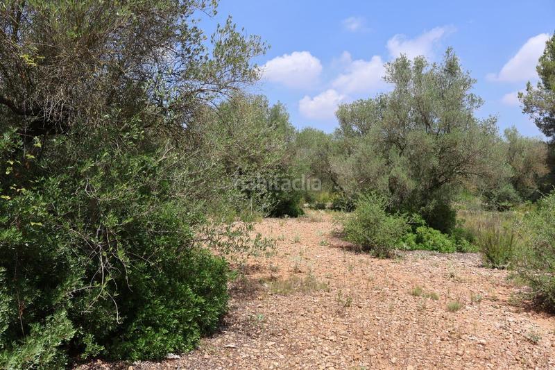 Foto 18d714df-ce61-4c19-9b6e-dee570b4e88c. Bauernhof in Vall d´Alba