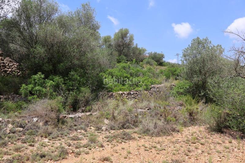 Foto 261975dc-8e1d-4fcd-b128-658acae2c205. Bauernhof in Vall d´Alba