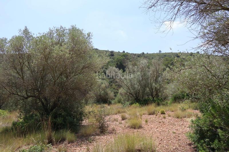 Foto 3c803bb8-8ca2-4956-aa6e-20fdcb800f7a. Bauernhof in Vall d´Alba