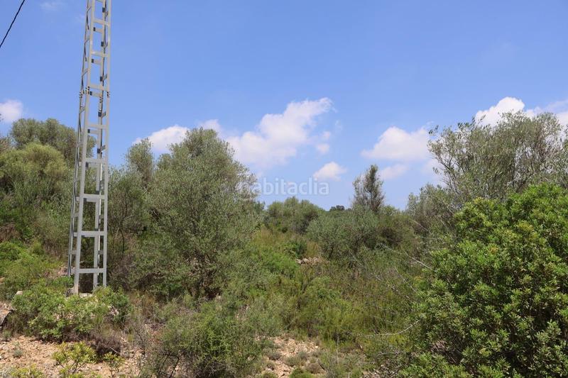 Foto 57aaa338-2411-4f6e-9a46-894ce325a0ef. Bauernhof in Vall d´Alba