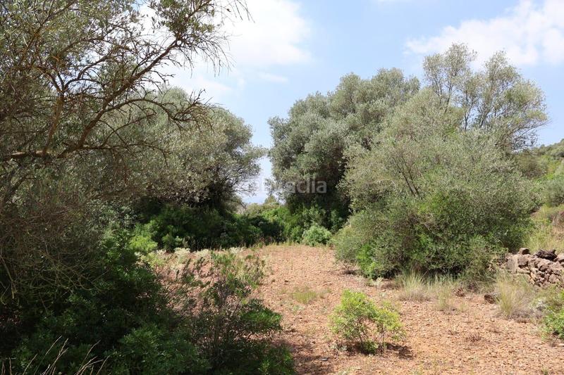 Foto 85b1dbc3-8c98-4d71-a3f1-36c394caaecc. Bauernhof in Vall d´Alba